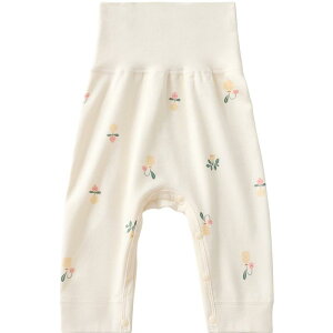 xr[pc V c Ԃ jp 100% nCEGXg t ۉ  Y{ MX tH~ [EFA  ɗD Ci[ h(x2)