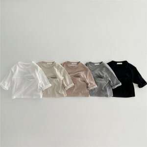 TVc xr[ LbY jp AވS z 炩f  ێ Rbg  ɗD tH [EFA gbvX n JoLx