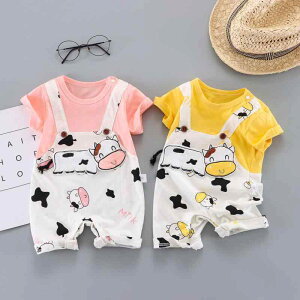 p[X xr[ V j̎q ̎q jp ʋC   Rbg  t o i [EFA ؍ 킢 SA Jo[I[ {fBX[c A̕ 0 1