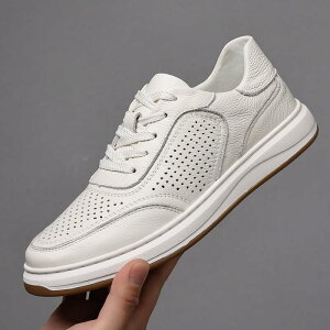 Xj[J[ Y zCg v ʋC  p`O V[Nbg [XAbv JWAV[Y \  EhgD [Jbg fC[