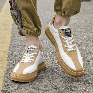 Xj[J[ Y ؂ւfUC ght@bV JWA [Jbg [XAbv I[V[YΉ ʋC p`O 傫TCYΉ ig