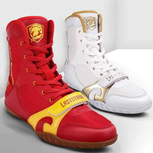 {NVOV[Y Y fB[X y ~ nCJbg vdl XO iZ U EGCgteBO XNbg W g[jO  K  ʋC tBbgl