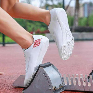 jOV[Y LbY WjA jp wp y ʋC h ㋣Z Z XpCN 8{ bVAbp[ PU\[ ؂ւfUC  K g[jO w Z