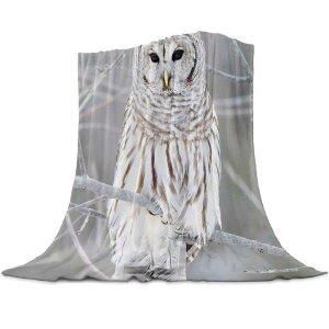 uPbg ѕz jp L长 tl _炩 K g ۉ 􂦂 |GXe k I[V[YΉ rO \t@ xbh[ v[g Mtg