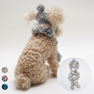 ybgpXq}t[Zbg  L jbg  h ANf || NX}X ̌ Op S M LTCY 킢  ~p