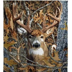 ѕz jp tl |GXe _炩 G g  ۉ K ӂӂ   vg lGʗp k rO Q \t@Jo[ Ђ| v[g