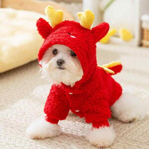  ^p 킢  q fUC t[ht ؂ւ  t[X p[J[ [htbNt h U o hbOEFA JWA |GXe