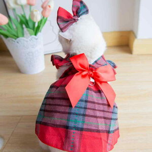 ybgEFA NX}X  L ϐgRX`[  XJ[g s[X XS S M L XLTCY FWJ jZbNX(x2)