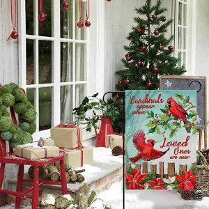 K[ftbO NX}X ʃvg N₩ȐԂ 뉀 O   fR[V ό |GXe l  킢