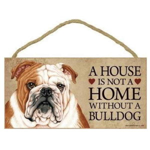 CeAG NX}X ؐ ` hAv[g   TC{[h Ǌ|  j[N NGCeBu z[fR[V Xܗp fR[V(x2)