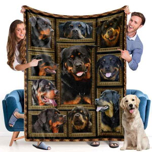 uPbg 炩 K tlf  pYfUC \t@Jo[ xbhX[ Ђ| ѕz Q I[V[YΉ _ Vv