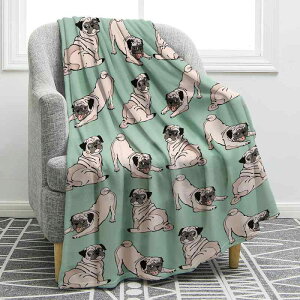 uPbg 킢 t`uhbO tlf _炩ȔG K y I[V[YΉ |GXe \t@Jo[ Ђ| CeA ybgp