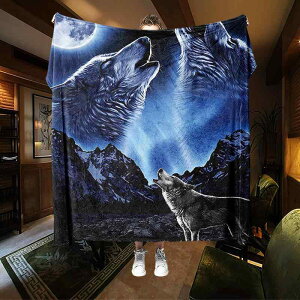 uPbg tl  O[ T   vg \t@Jo[ Ђ| QPbg [΍ I[V[Y  킢(x2)