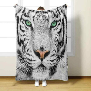 uPbg g Ֆ͗l fW^vg tl  y \tg^b` I[V[Y |GXe 唻 Ђ| \t@Jo[  CeA xbh[ rO