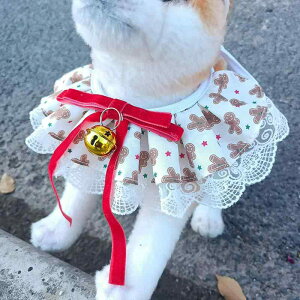 ybg o_i 悾ꂩ NX}X [X L  Opo_i  XJ[t 킢 LN^[ vg  |GXe I[V[Y  t@bV