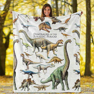 �ѕz ���� �t�����l�� �n���E�B�� ��[�΍� �����Q�p �u�����P�b�g �_�炩 �ӂ�ӂ� �g���� �􂦂� �y�� �|���G�X�e��100% �t�H ���킢�� �\�t�@�J�o�[ �Ђ��|�� �I�[���V�[�Y�� �C���e���A