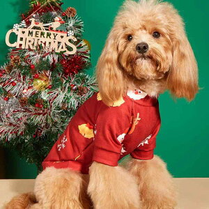 g[i[ ^ Lp NX}X ̌ giJC 킢  CX^  g H~p ybgEFA |GXen U  m