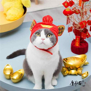 �X�q �y�b�g�p �L �� �ϐg �R�X�v�� ���킢�� ���Ԃ���� �L�����N�^�[ �A�j�}�� �n���E�B�� �N���X�}�X ������ �C�x���g �����O�b�Y �C���X�^�f�� ���^�� ���^�� �q�L ���L �I�[���V�[�Y��