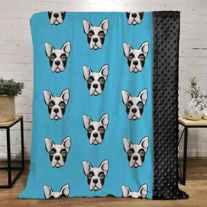 uPbg xr[ Ԃp 킢 J[gD[Aj}  L  |R|Rhbg ӂӂ RR 񖇍킹 |GXe oYj Mtg v[g 150x200cm I[V[