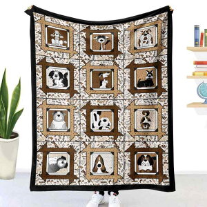 uPbg  w ۉ g 3DfW^vg tl |GXe100%  hbOfUC 킢 Vv _ H~p(x2)