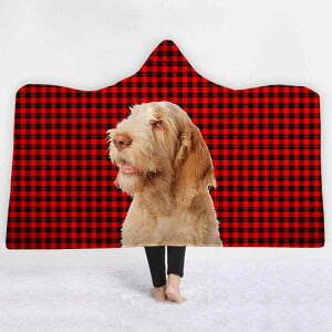 uPbg t[ht |`  d  t[X 3DfW^vg 킢  L ~p h  [EFA