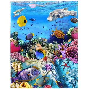 uPbg Y fB[X CꐢE } _炩 K tl ۉ y |GXe I[V[Y  rO \t@Jo[ k CeA v[g