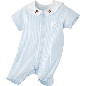 p[X xr[ V jp t 100%   Jo[I[ pW} i [EFA _炩 ʋC  sN u[(x2)