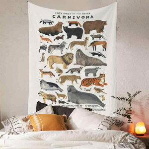 ^yXg[ g AeB[N AJ A[g  􉽊w͗l t@ubN|X^[ EH[fR[V Ǌ| CeA Q rO  wiz |GXe