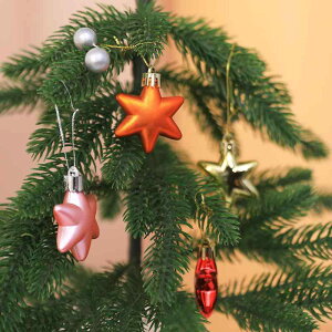 NX}Xc[ I[ig Zp wLTS ό`fUC dCbLH }bg  5cm 12Zbg NX}X fR[V p[eB[ Cxg y vX`bN