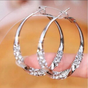 t[vsAX fB[X   NX^ Vo[ 傫  \ t@bV ʋ  dCbLH 􉽊w͗l