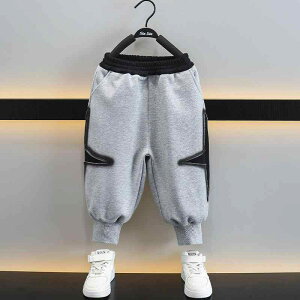 LbY j̎q EGXgS e[p[h X|[c XEFbgpc W[W Y{ 95% _炩G n tH JWA   [EFA