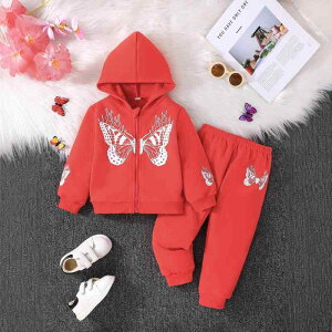 ZbgAbv ̎q  LbY   o^tC vg t[htp[J[ Opc 2_Zbg jbg |GXe  [EFA i JWA 킢 t H ~