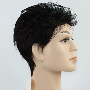 wAs[X Y jp EBbO l100% A y ^ S NbvŒ Jo[  {[Abv RȎdオ F