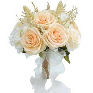 EFfBOu[P  Vp[Y [X{  I 񎟉 Mtg v[g Be ͂Ȃ sv CeA LO v|[Y