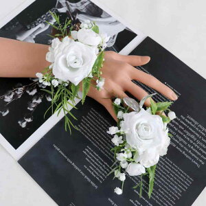  EFfBO  RT[W u[gjA Xgbg Xgu[P ԉ uCYCh I 񎟉 rWlX T Cxg QXg [sA VNt[ zCg