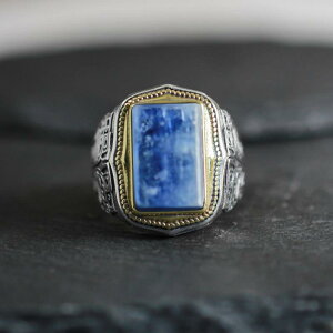 w Y 925Vo[ g AeB[N I XNGA TCY\ t[TCY DIYp ΂Ȃ g O nhChfނɍœK JWAX^Cɂ(x2)