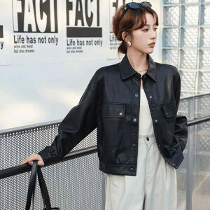 vW fB[X tFCNU[ H~ AE^[ |  [YtBbg I [NX^C ꂢ U[WPbg  ʋ   GiH