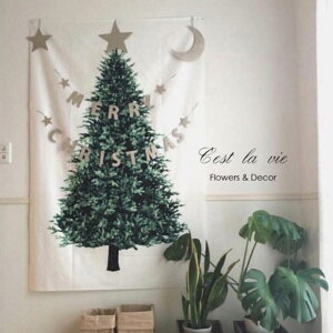 ^yXg[ NX}X fR[V  Q rO  xbhTCh Ǌ| CX^f ʐ^f wiz CeA(x2)