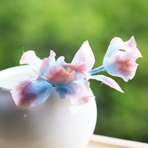 񂴂 fB[X  `H| \xxbg  _炩  V ACX a    l Ǝ p[eB[ Cxg ؂₩   wA