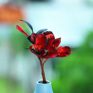  fB[X  \xxbg  g߃fUC `H|i g_ ؕ a  񎟉 p[eB[ Ǝ l bh