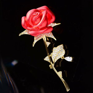 u[` fB[X @\ p dCbLH t`GKX i WRjA [Y KN  R[g X[c WPbg t@bV ʋ ANZT[  