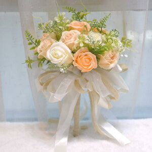 \[vt[ o ~ju[P ͂Ȃ  { Mtg{bNX o^Cf[ a LO v[g ؍