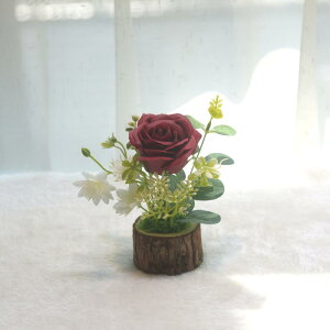  \[vt[ ~jo A ͂Ȃ sv  rO CeA u  킢 IׂJ[