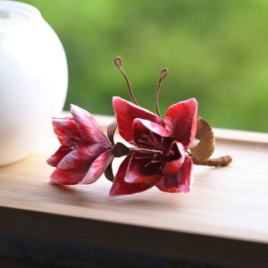  fB[X  \O _炩 i Õ Vؕ g_  `CihX a   U l Ǝ  Cxg p[eB[  wAANZT[