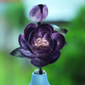  fB[X  nhCh VNxxbg ACX̉ g `CihX a   Ǝ w p[eB[ Cxg ؂₩ GKg [F p[v 