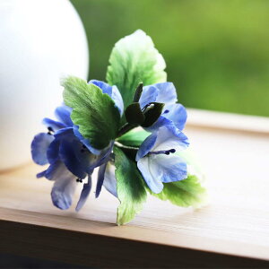 wAANZT[ fB[X `H|  VN xxbg  񂴂 z  V AWAeCXg I  GKg a   p[eB[  C