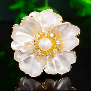 u[` fB[X  ؂₩ d R JA Wp[ WRjA ؍X^C  dCbLH t@bV tH[}  w Ǝ ʋΗp