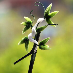 wAANZT[ 񂴂  `Y O | tσ`[t | Õ g AeB[N  `CihX   a ܂Ƃߔ AbvwA p[eB[ 