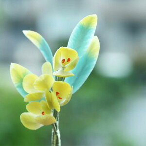   `H|  VN xxbg CG[ t[ 񂴂  ؕ p  l Ǝ  p[eB[