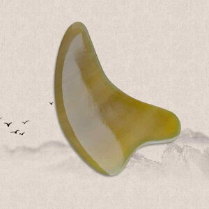  [R[ CJ^ tFCXPA  }bT[W ؖ[X v[g ڌ fRe p si pPA tbV